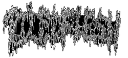 PILED FLESH