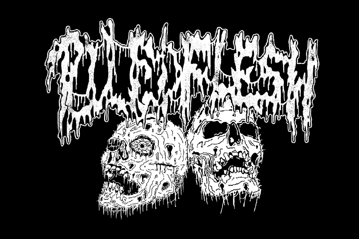 Image with text section