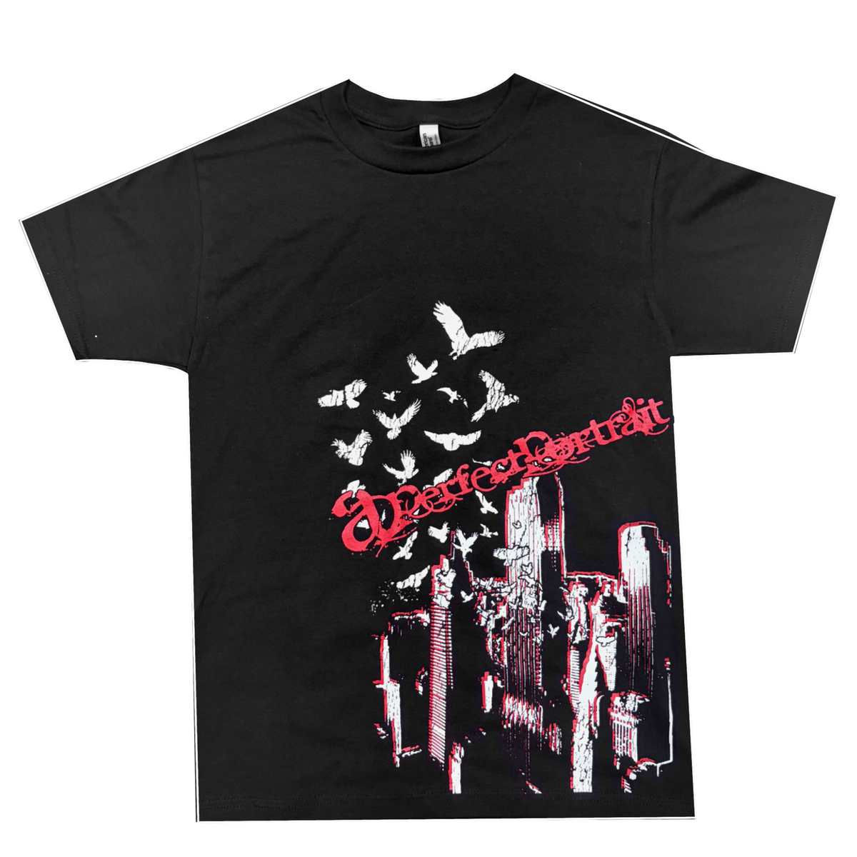 APERFECFPORTRAIT CITYSIDE TEE