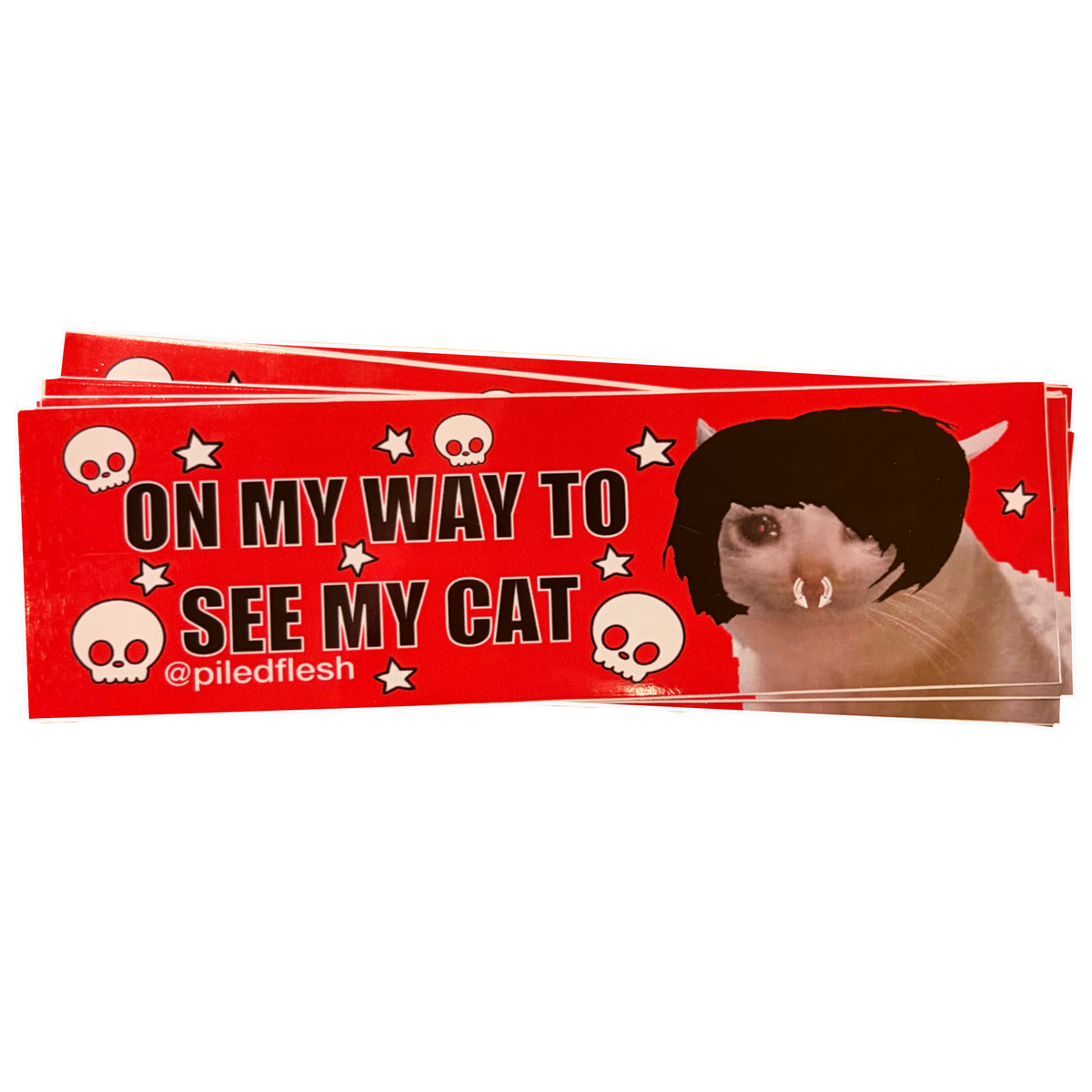 ON MY WAY TO SEE MY CAT BUMPER STICKER