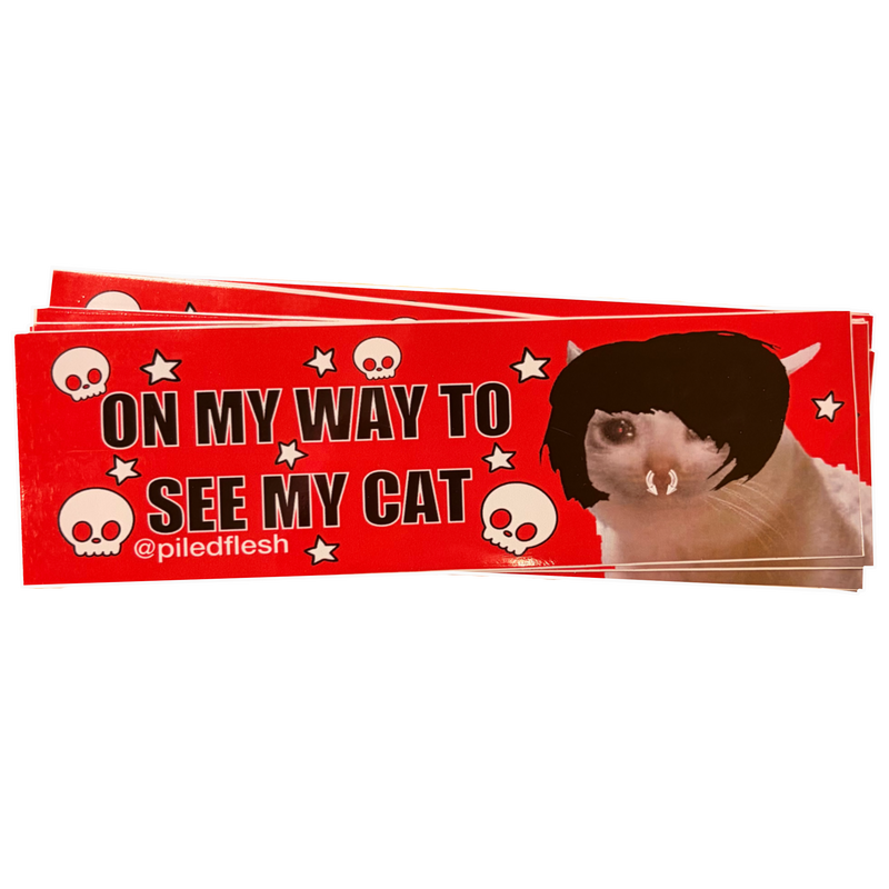 ON MY WAY TO SEE MY CAT BUMPER STICKER