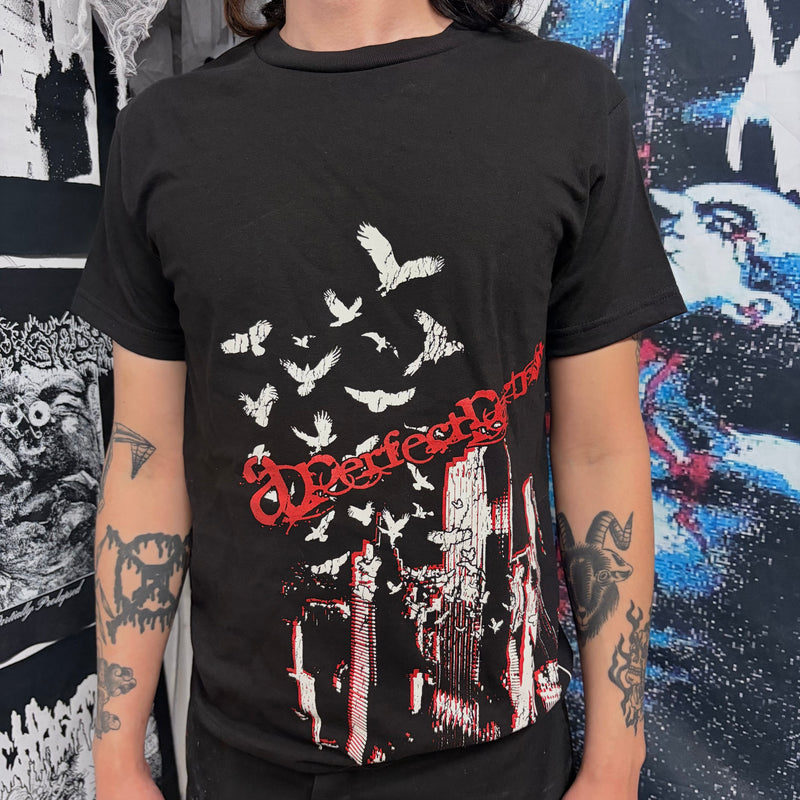 APERFECFPORTRAIT CITYSIDE TEE