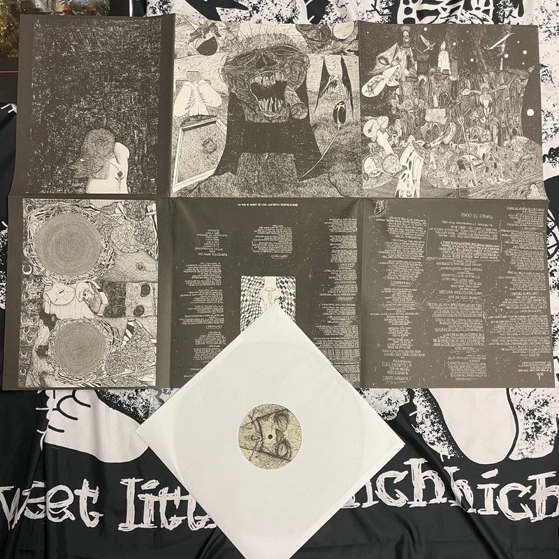 RUDIMENTARY PENI - DEATH CHURCH VINYL
