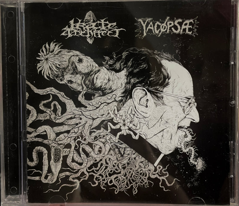YACOPSAE/IRATE ARCHITECT - SPLIT CD